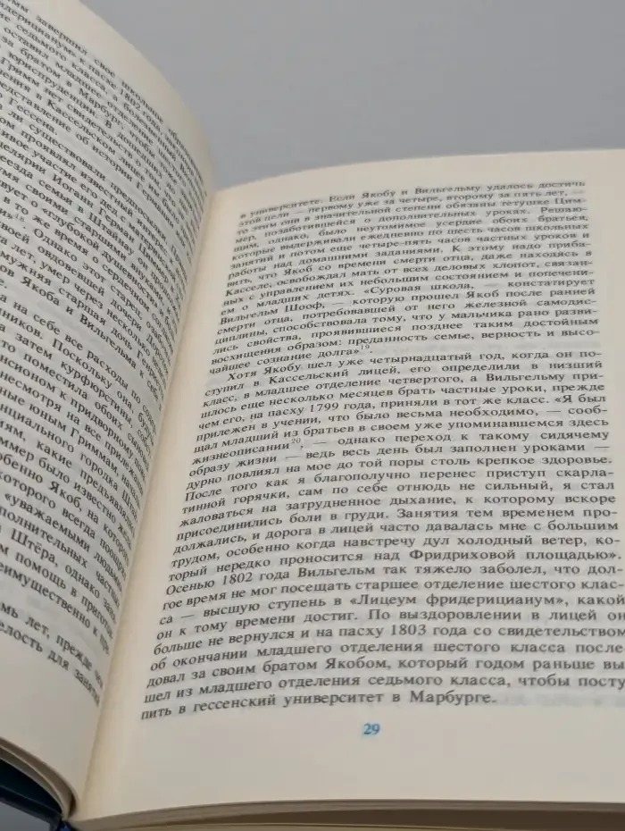 Братья Гримм: Очерк жизни и творчества