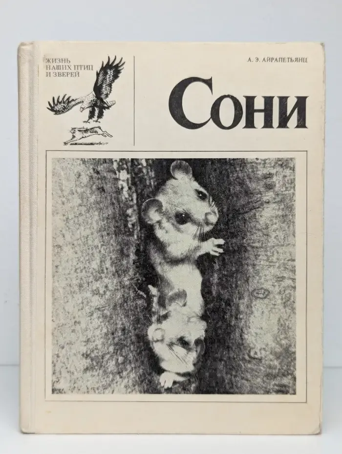 Сони