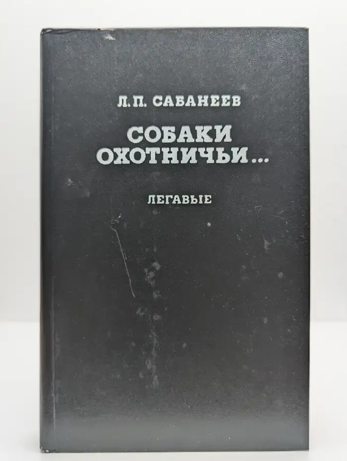 Собаки охотничьи. Легавые