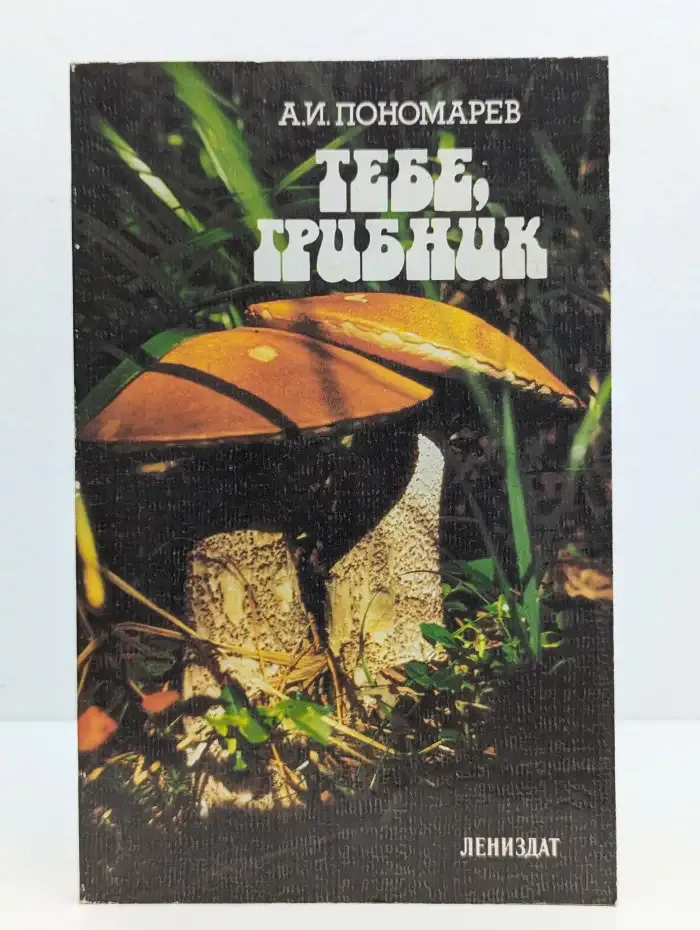 Тебе, грибник