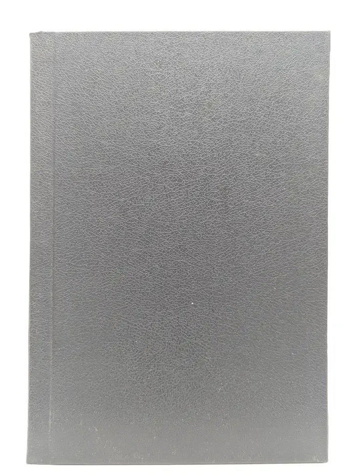 Dictionary of Contemporary Russian Slang