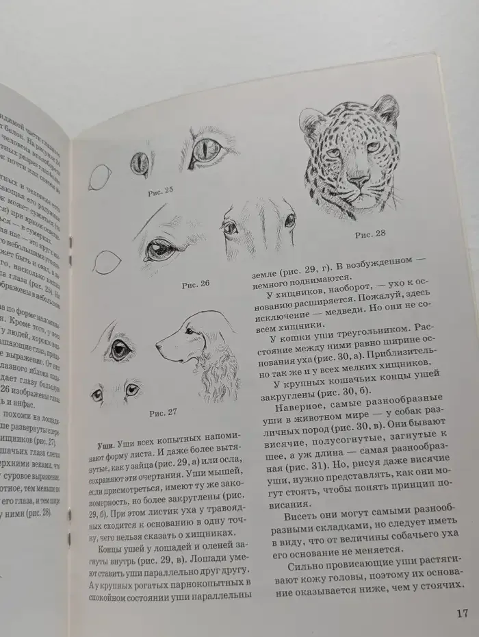 Как рисовать животных