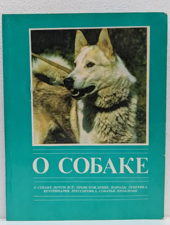 О собаке