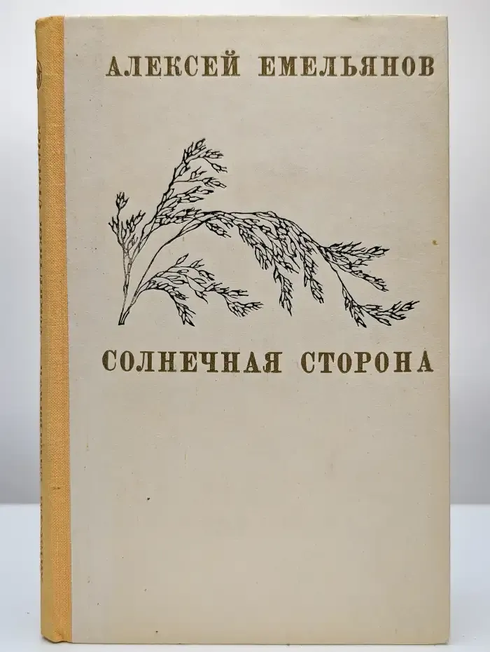 Солнечная сторона