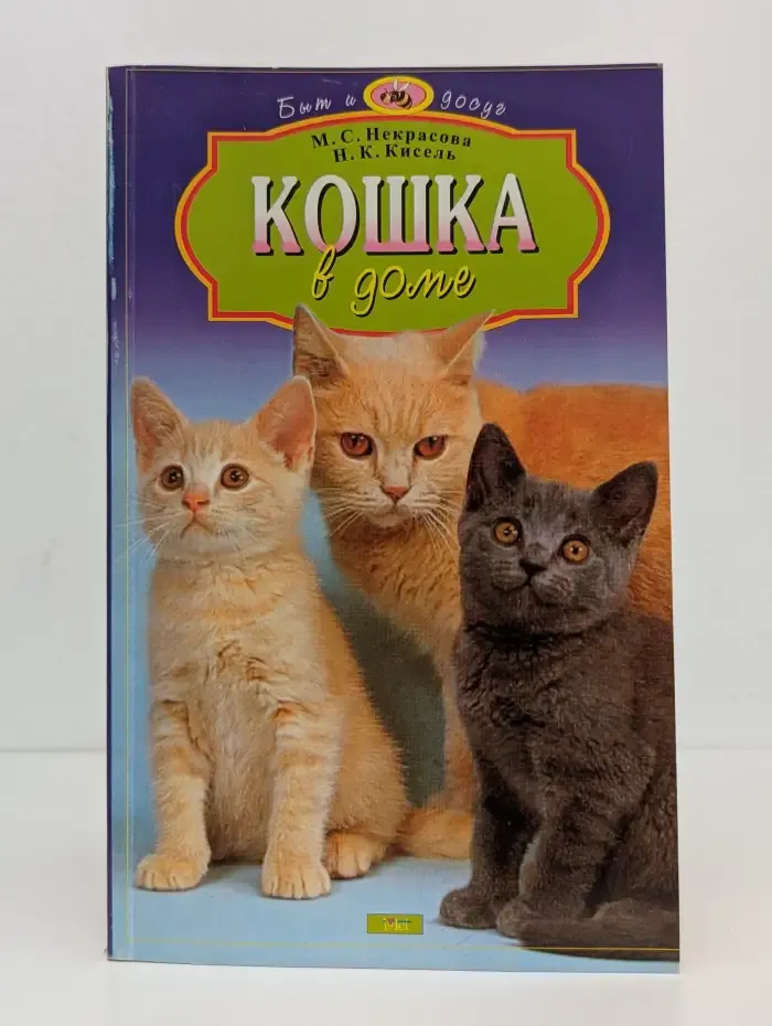 Кошка в доме