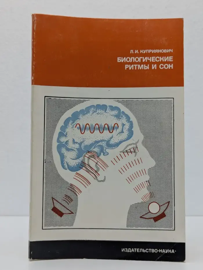 Биологические ритмы и сон