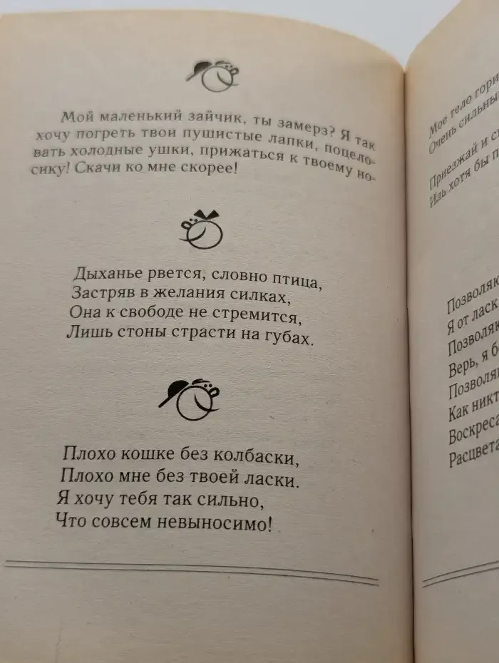 6000 супер SMS