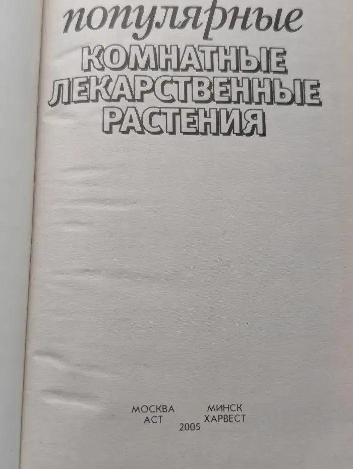 Самые популярные комнатные лекарственные растения