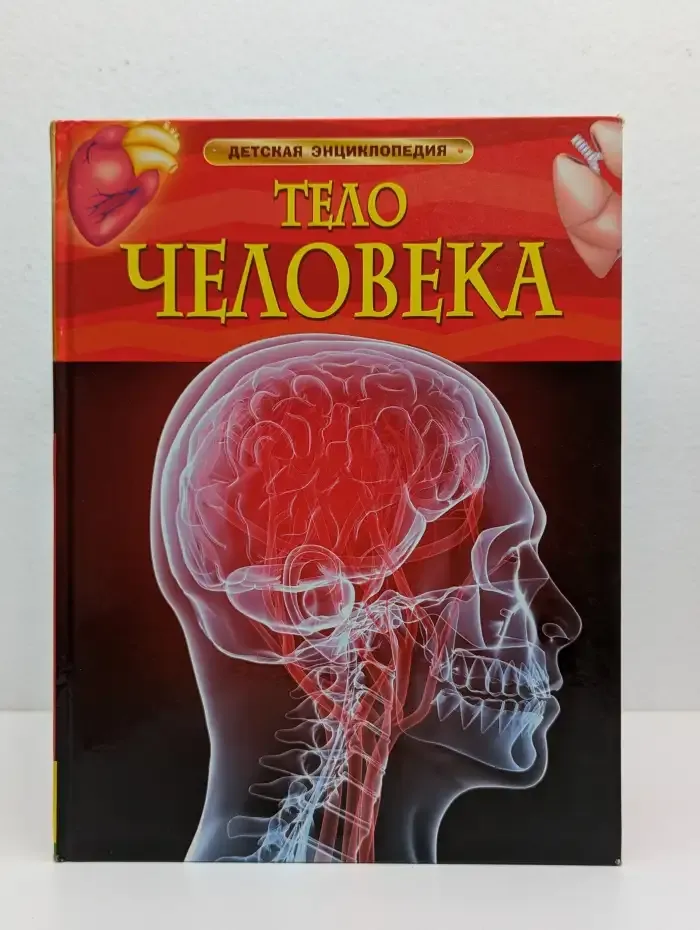 Тело человека