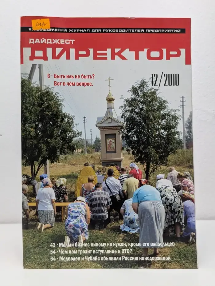 Дайджест Директор. Выпуск № 12/2010