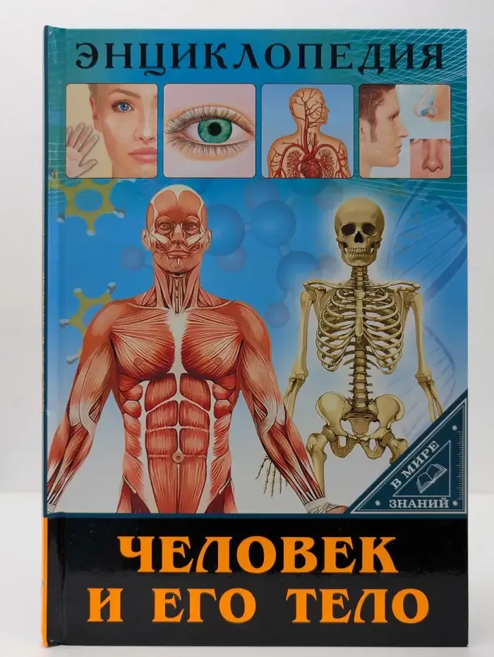 Человек и его тело