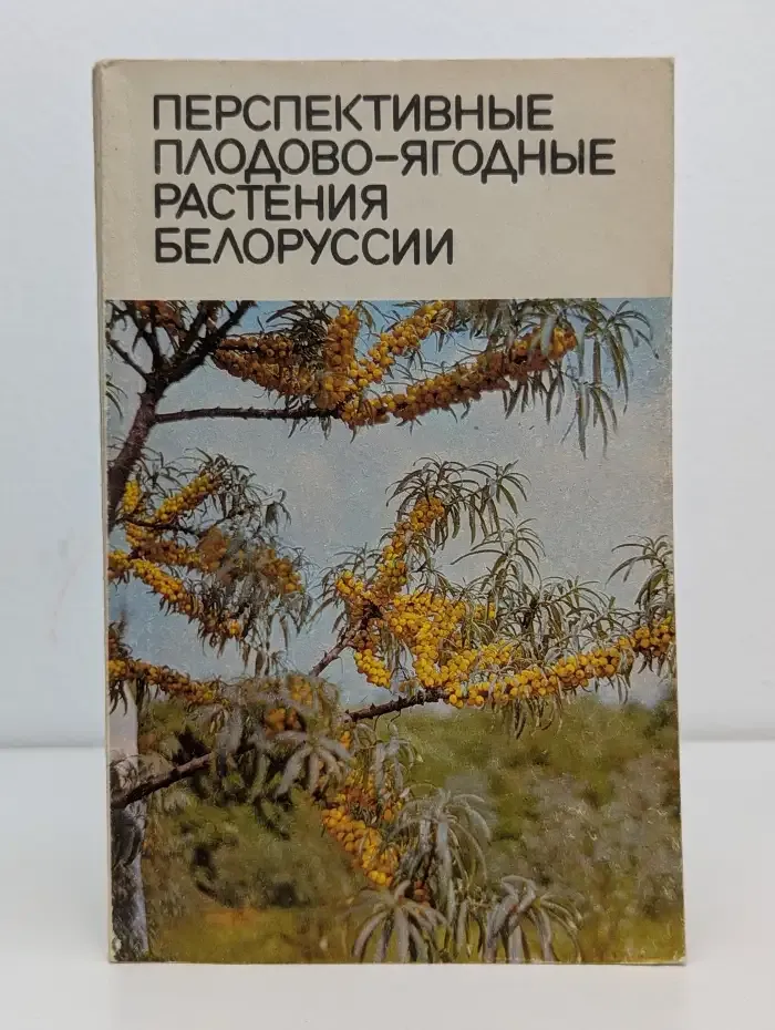 Перспективные плодово-ягодные растения Белоруссии