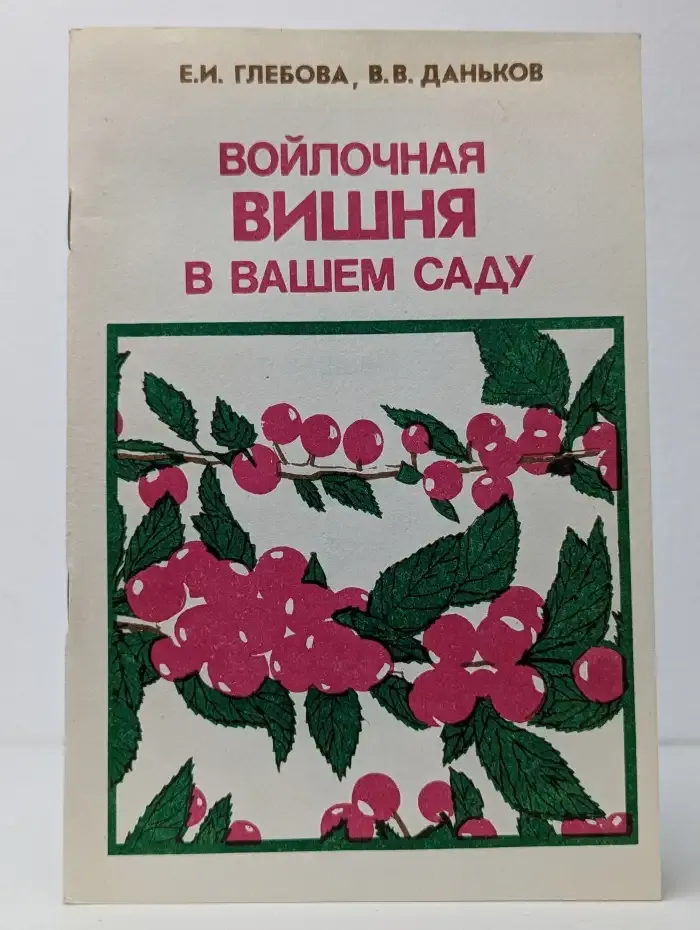 Войлочная вишня в вашем саду