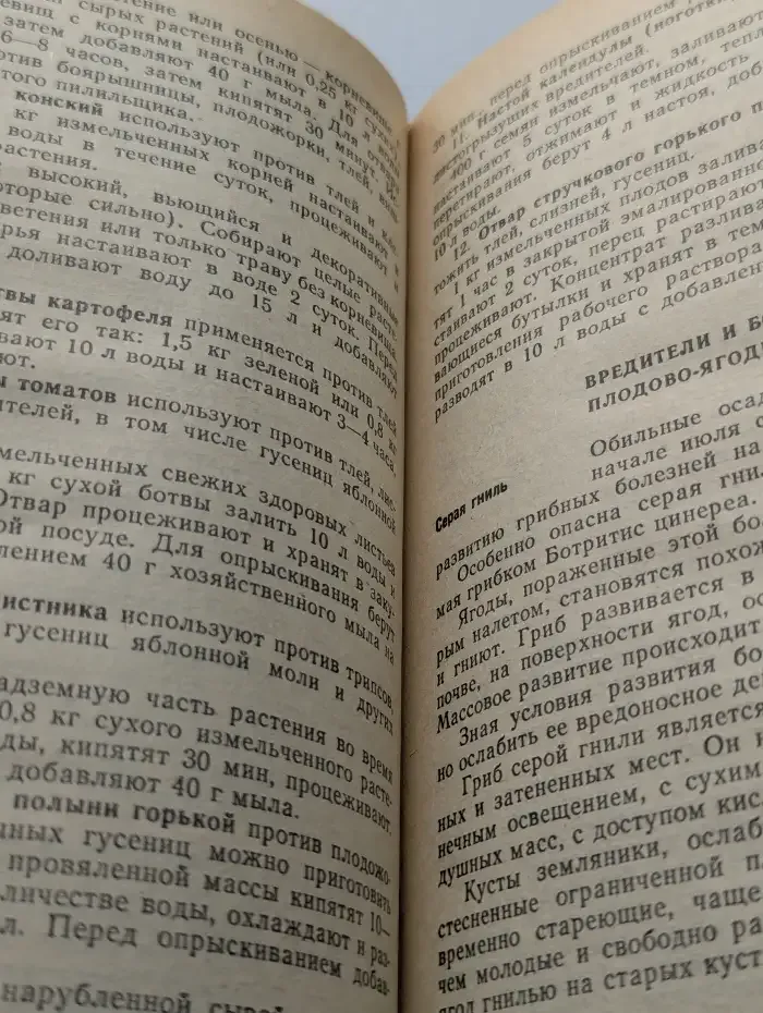 Ваш сад