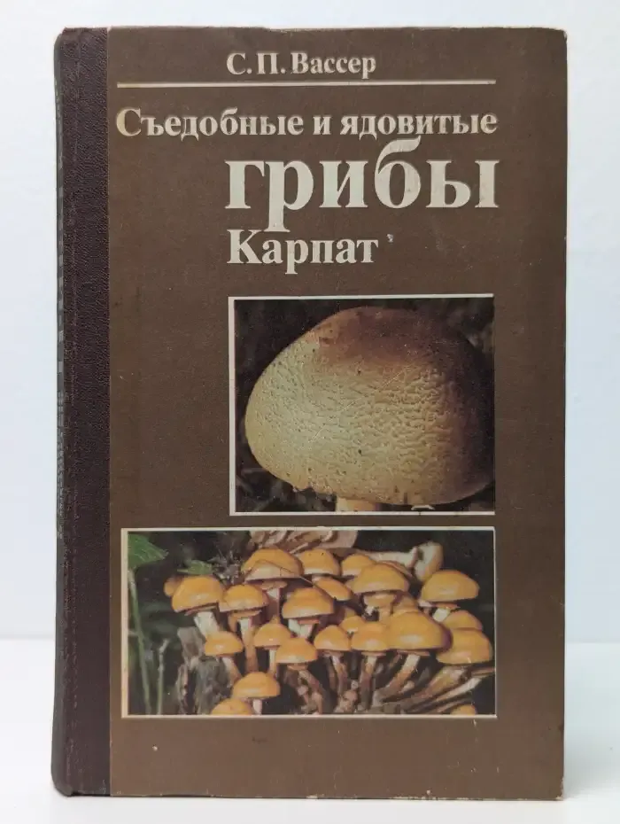 Съедобные и ядовитые грибы Карпат