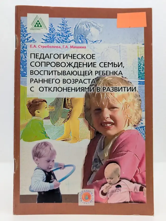 Педагогическое сопровождение семьи, воспитывающей ребенка раннего возраста с отклонениями в развитии