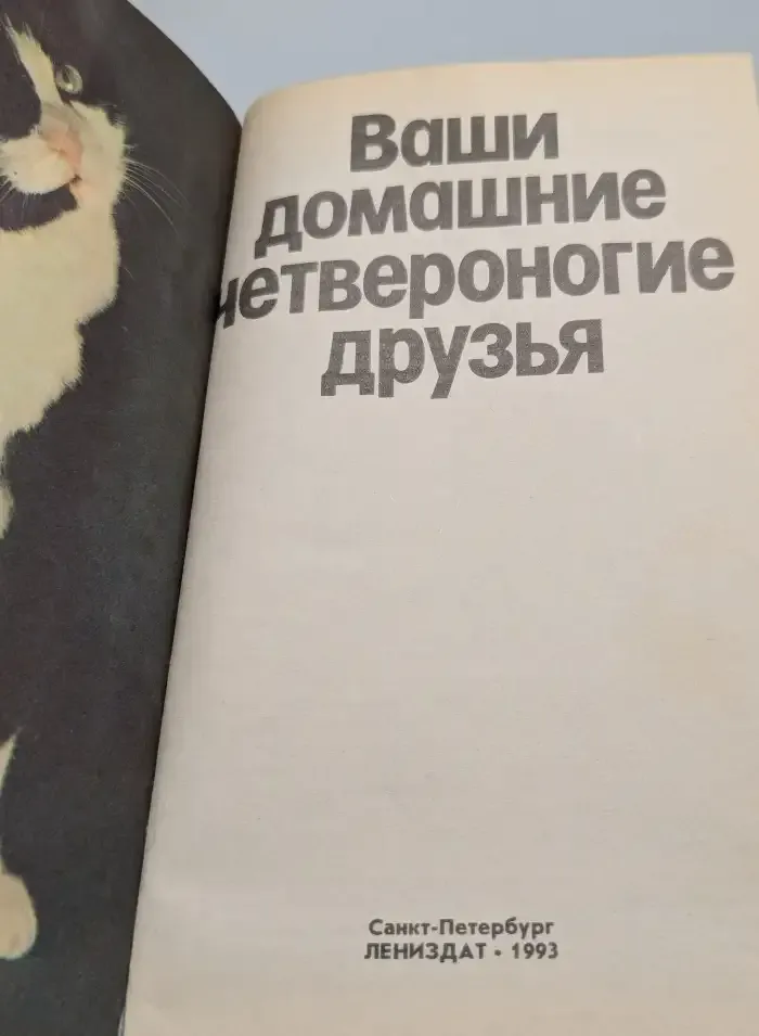 Ваши домашние четвероногие друзья