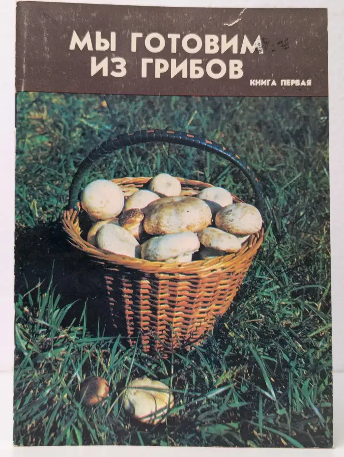 Мы готовим из грибов. Книга первая