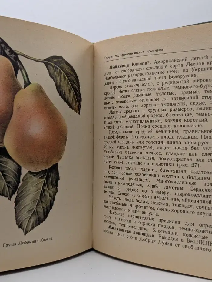 Сорта плодовых и ягодных культур Белорусской ССР