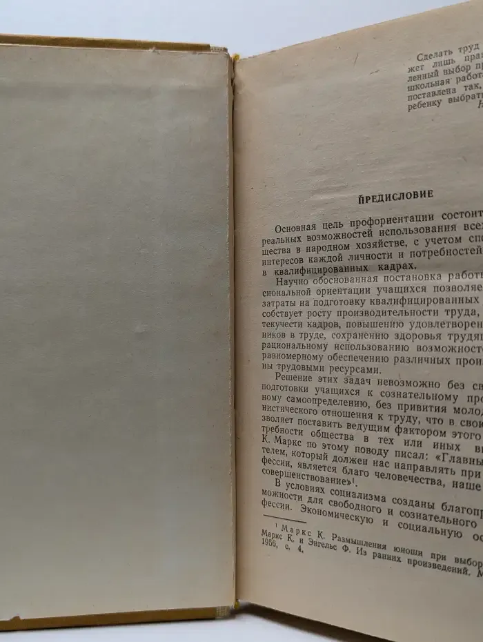 Профессиональная ориентация учащихся в процессе трудового обучения