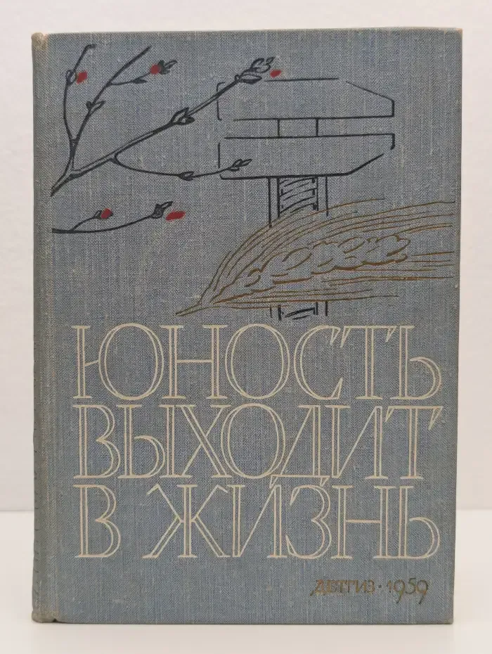 Юность выходит в жизнь