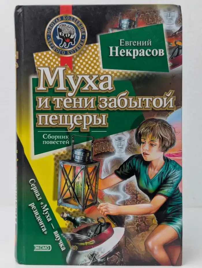 Муха и тени забытой пещеры