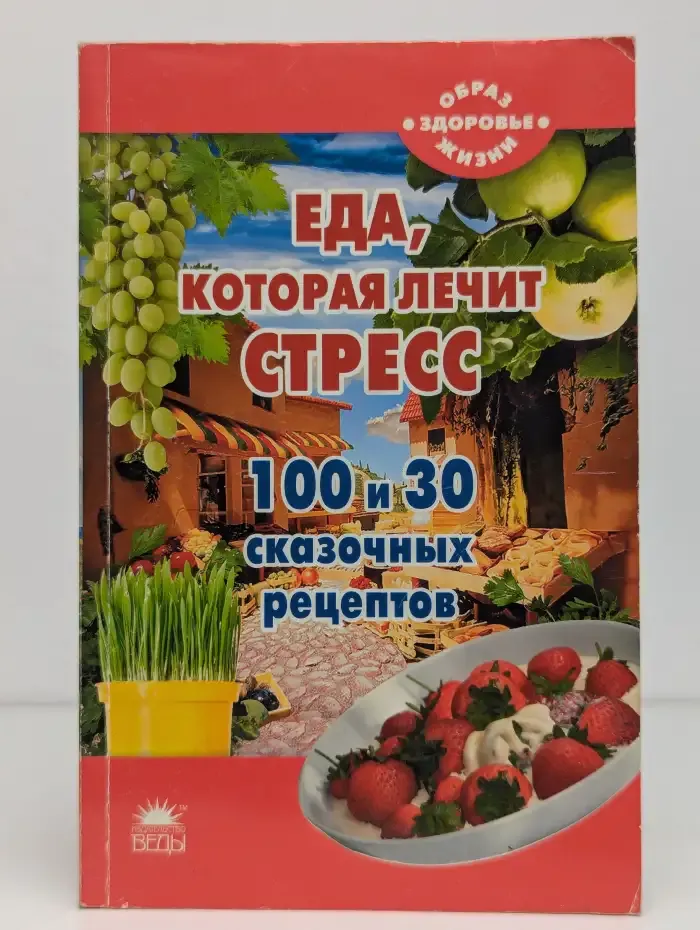 Еда, которая лечит стресс. 100 и 30 сказочных рецептов