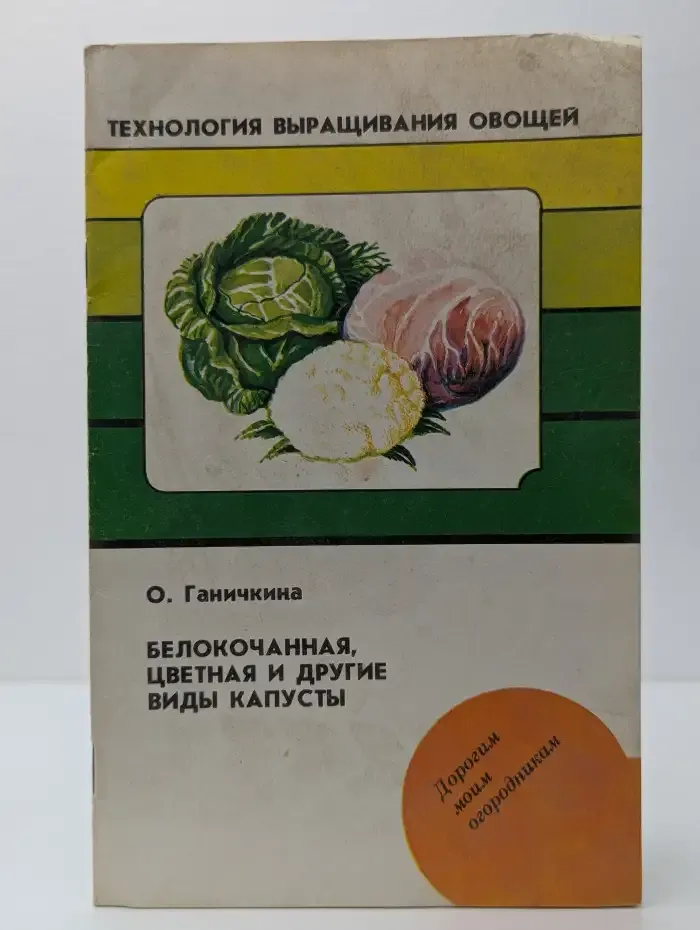 Белокачанная, цветная и другие виды капусты