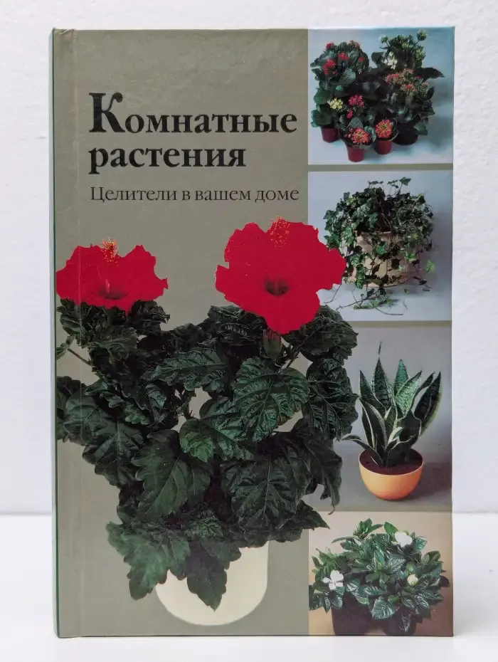 Комнатные растения. Целители в вашем доме
