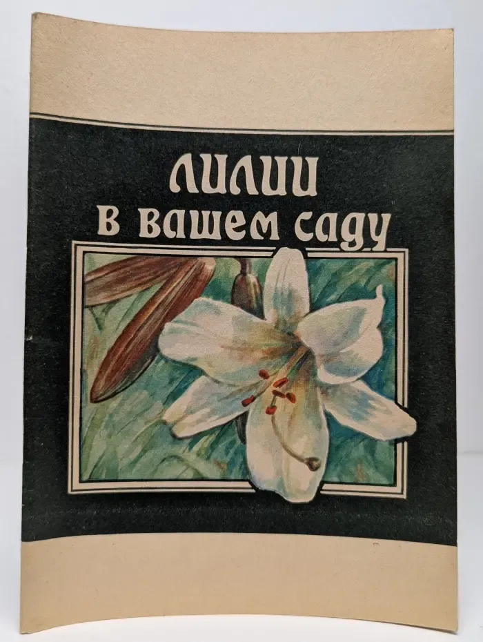 Лилии в вашем саду