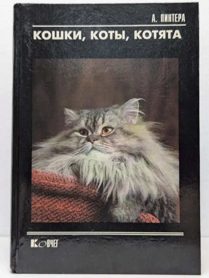 Кошки, коты, котята