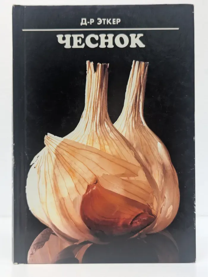 Чеснок