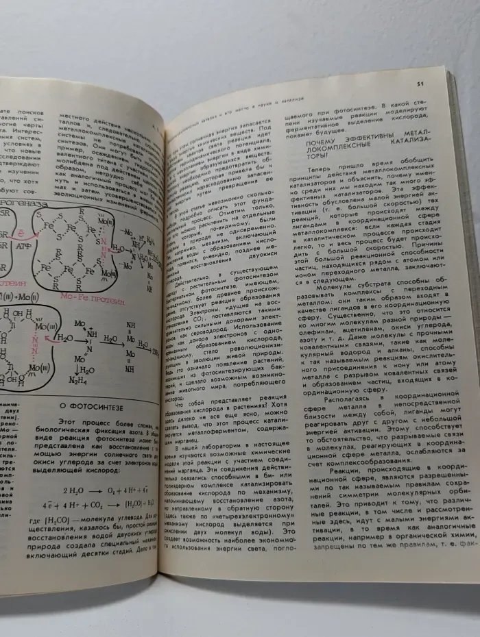 Природа. Выпуск № 10/1979