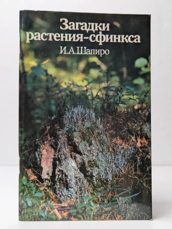 Загадки растения-сфинкса