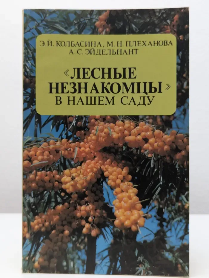 Лесные незнакомцы в нашем саду