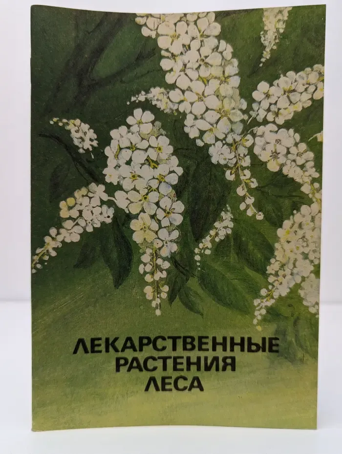 Лекарственные растения леса