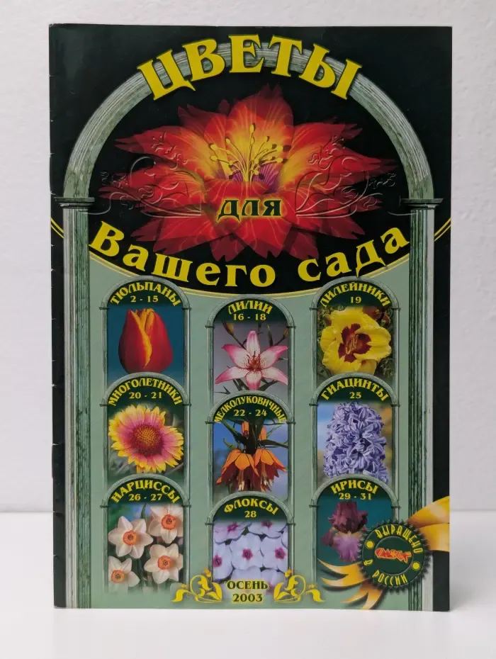 Цветы для вашего сада