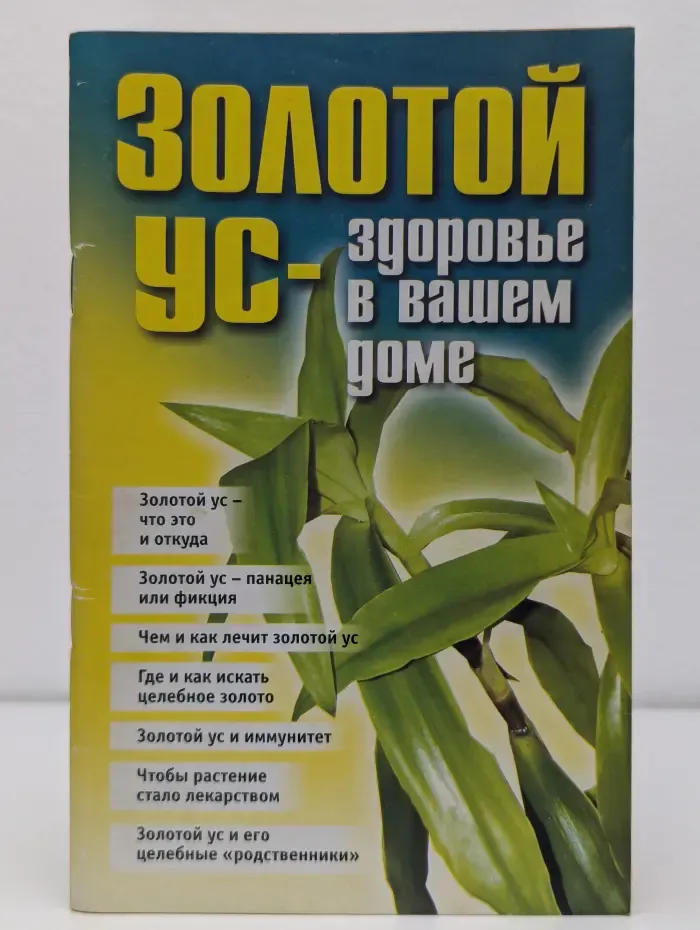 Золотой ус - здоровье в вашем доме