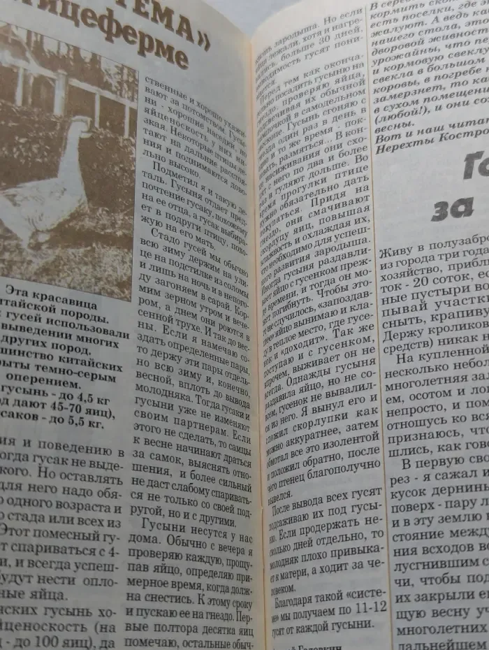 Приусадебное хозяйство. Выпуск № 02/1996