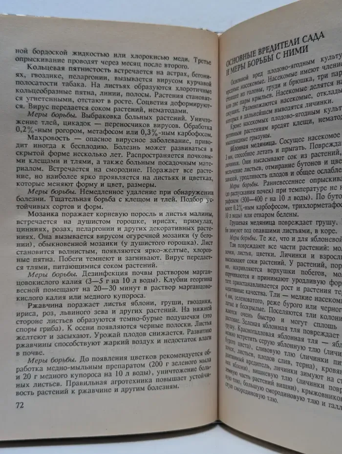 Мой сад