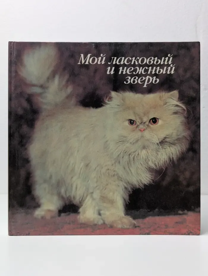 Мой ласковый и нежный зверь