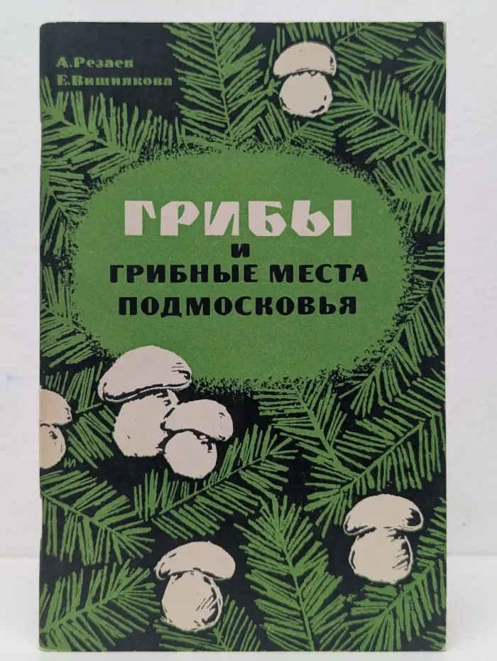 Грибы и грибные места подмосковья