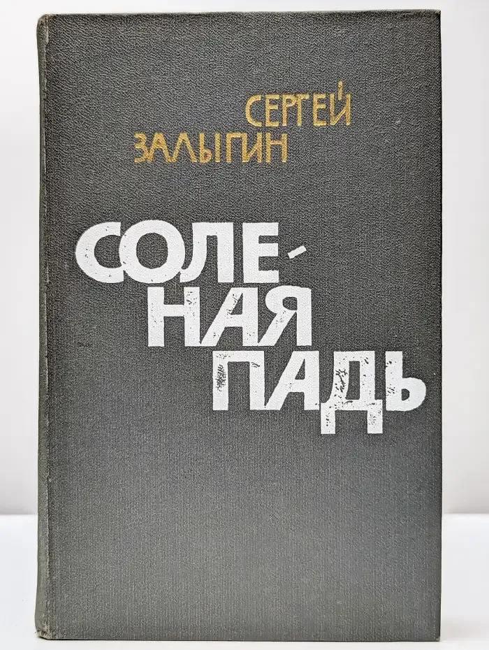Соленая падь