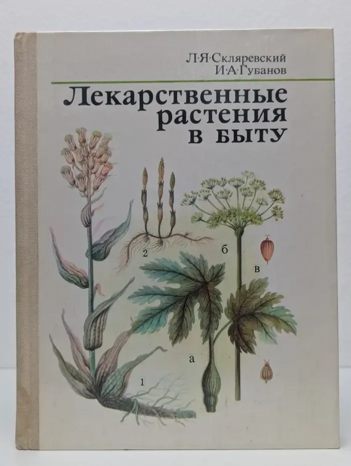 Лекарственные растения в быту