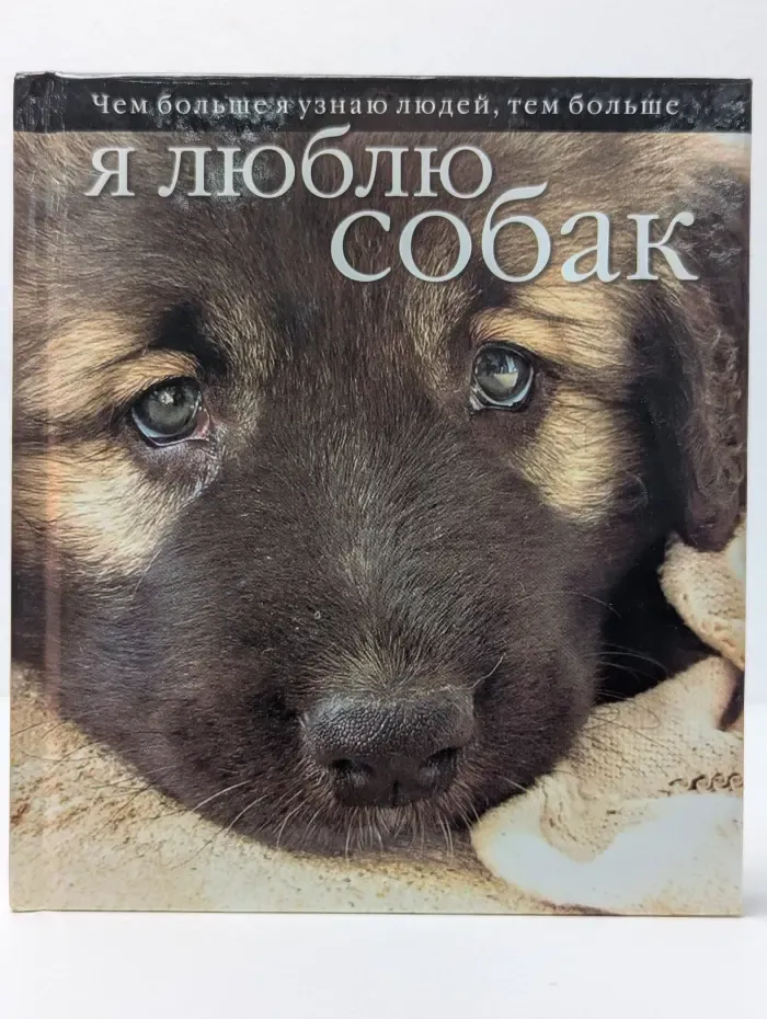 Я люблю собак