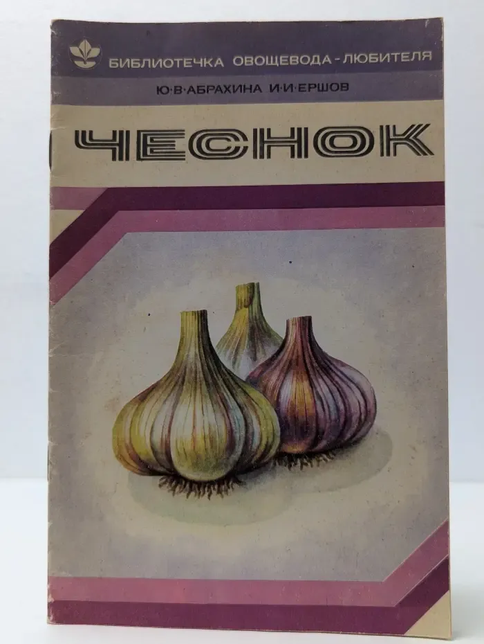 Чеснок