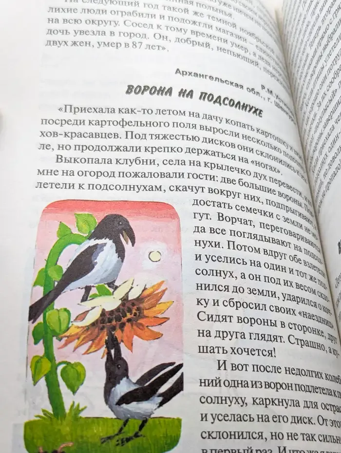 Взрослым и ребятам о зверятах