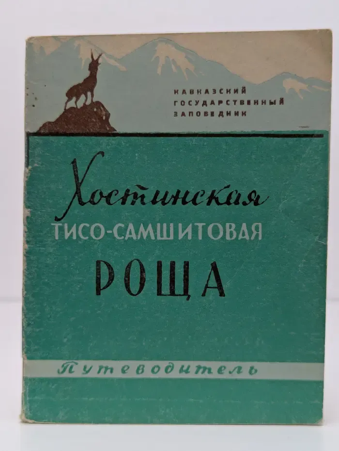 Хостинская тисо-самшитовая роща