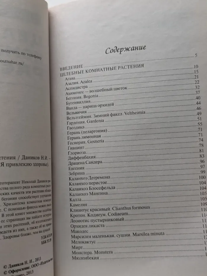 Целебные комнатные растения