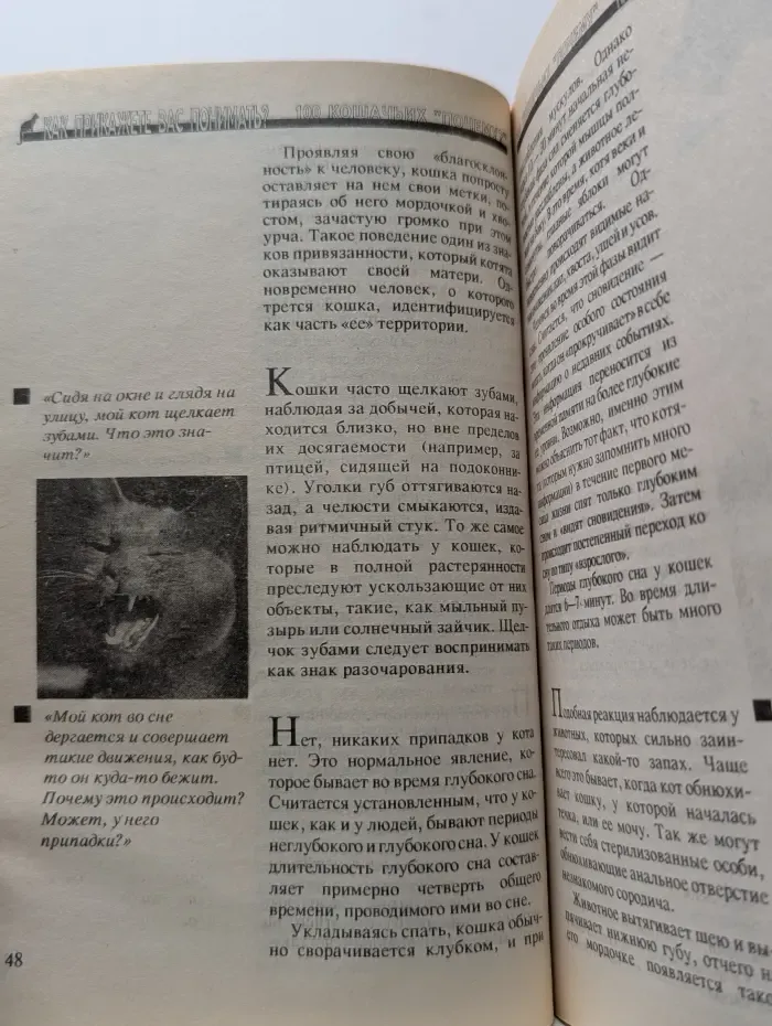 100 кошачьих "Почему?"
